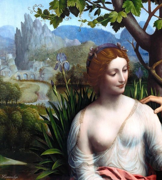 Франческо Мельци Флора