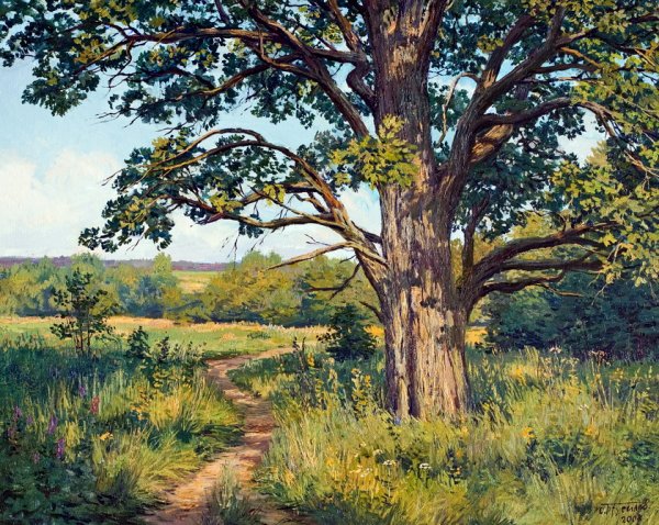 Станислав Брусилов дуб