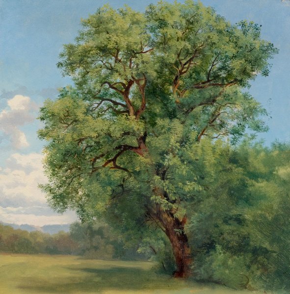 Калам, Александр (1810 - 1864) пейзаж с дубами