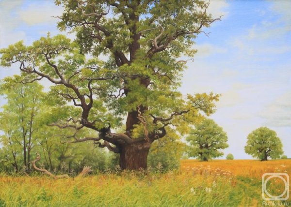 Шишкин дуб Освещенный солнцем