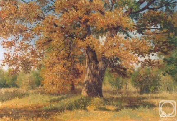 Сергей Костерин Нижний Новгород художник