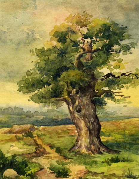 Художник Graham Gercken