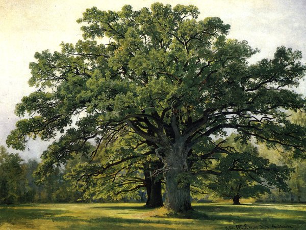 Шишкин Иван Иванович Мордвиновские дубы