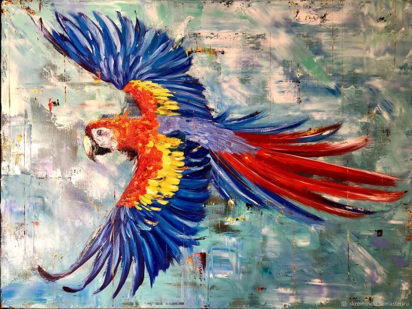 Попугай акрилом