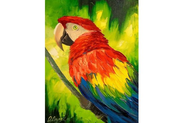 Дарчук Ольга попугай