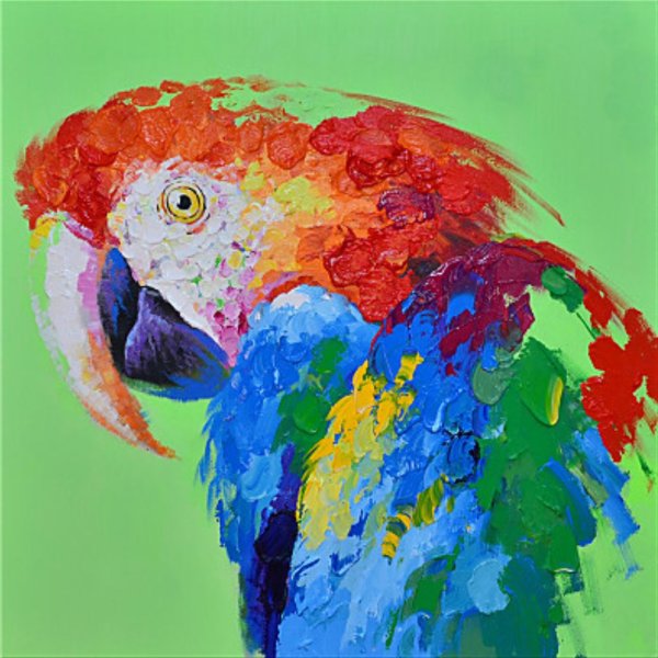 Попугай живопись маслом
