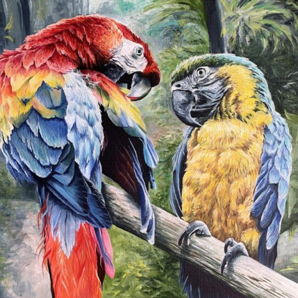 Попугай маслом