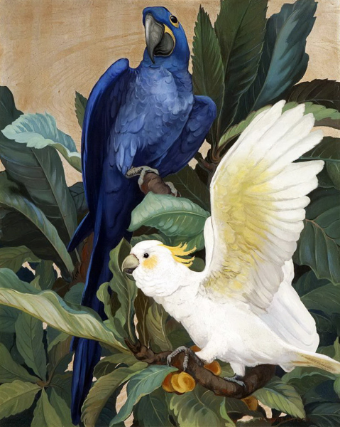 Джесси Армс ботке художница