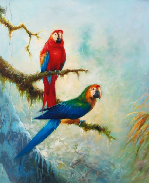 Попугаи на ветках