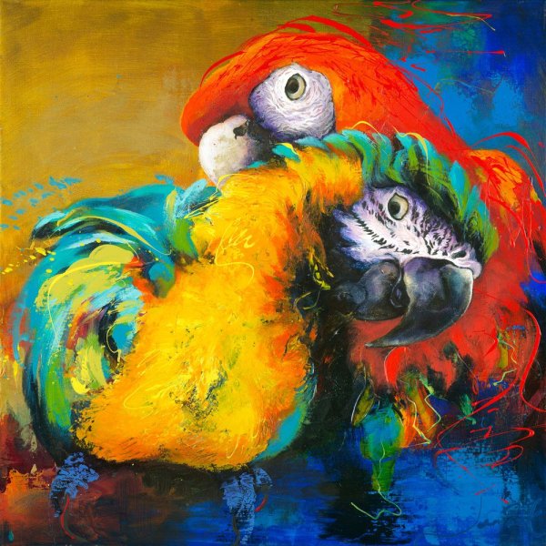 Попугай акрилом