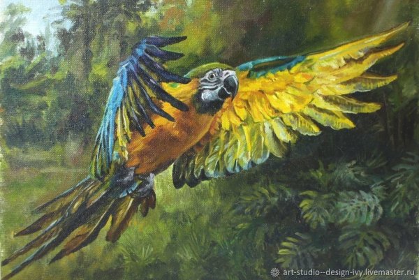 Попугаи на картинах художников