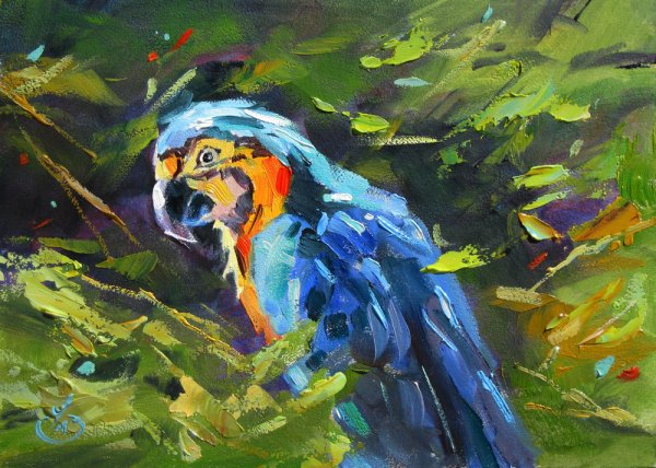 Попугай живопись маслом