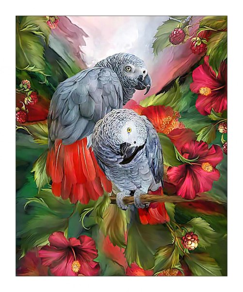 Кэрол-Каваларис Подсолнухи