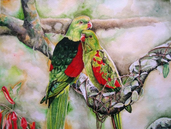 Попугаи неразлучники Какаду живопись