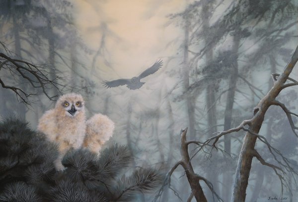 Художник Вячеслав Синкевич