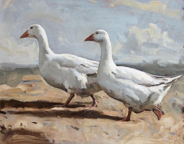 Мир птиц художница Jessie Arms Botke.