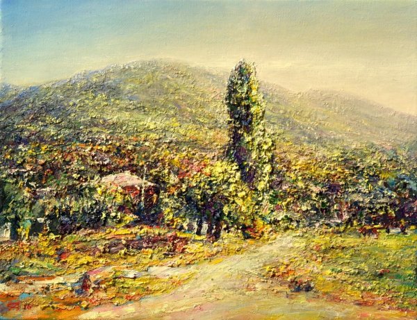 Цвиджба художник Абхазия