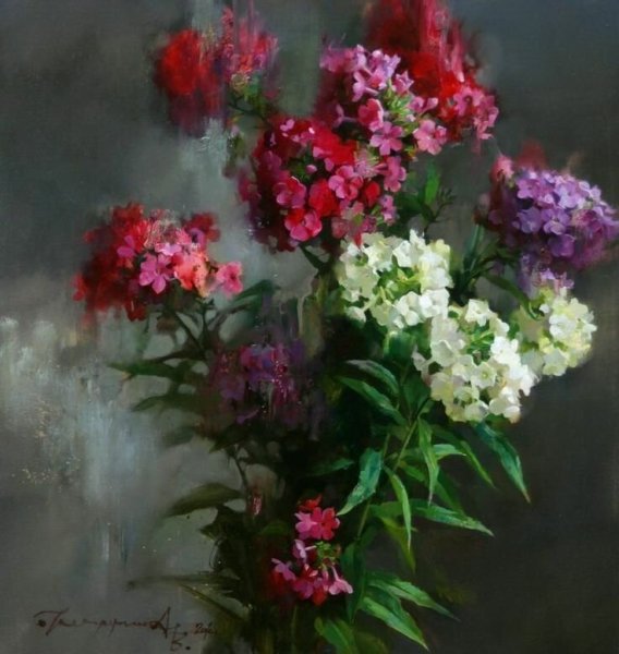 Андрияка Флоксы