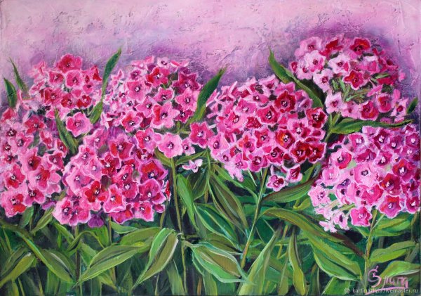 Флоксы в живописи маслом