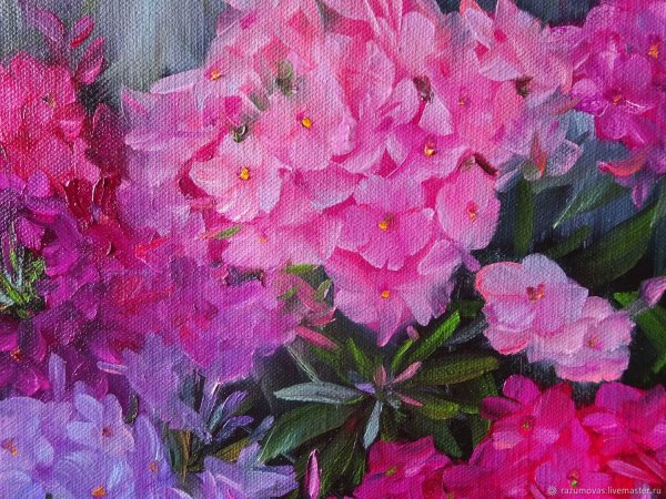 Флоксы пастелью