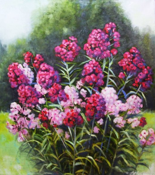 Юлия непокрытая