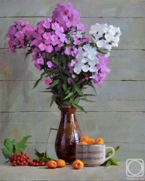 Светлана Разумова Флоксы