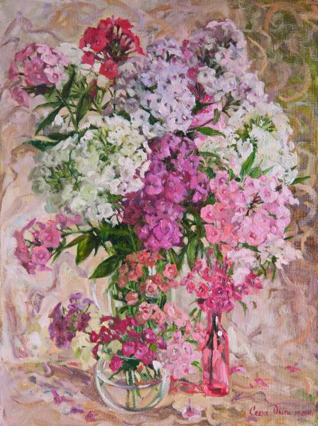 Андрияка Флоксы