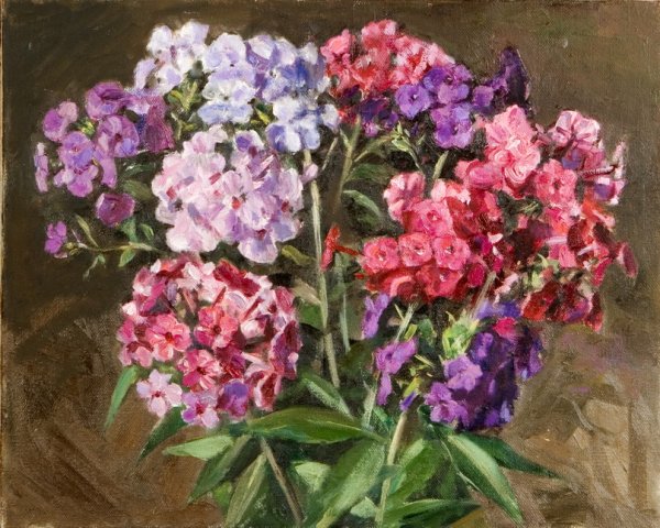 Андрияка Флоксы