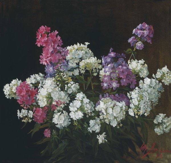 Anne Cotterill — художница, «понимающая» цветы