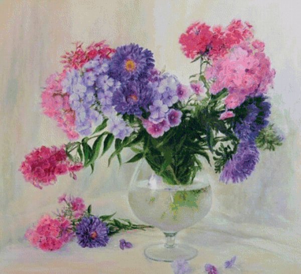 Цветы Флоксы букет