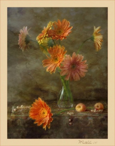 Герберы живопись маслом