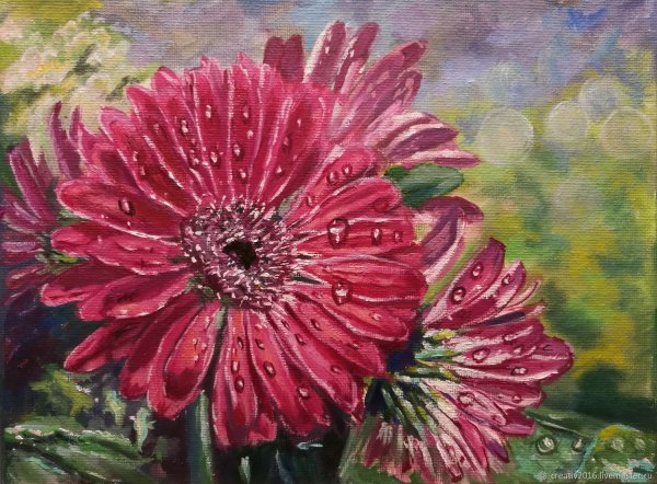 Андрияки герберы