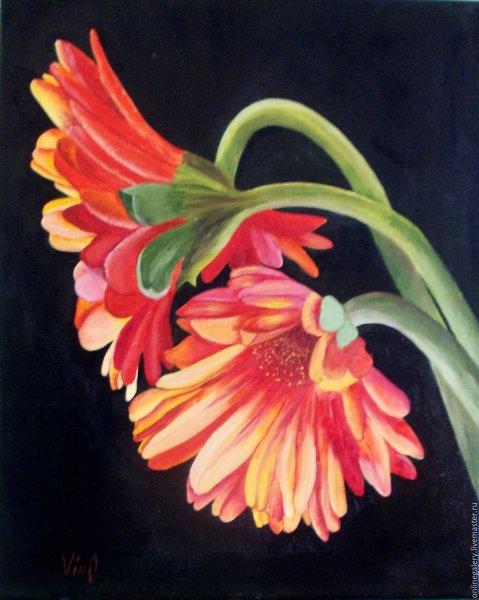 Гербера в живописи