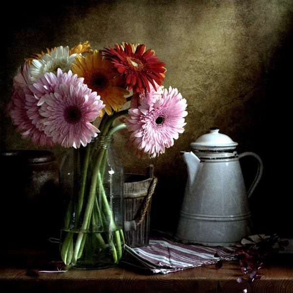 Фотонатюрморты с герберами