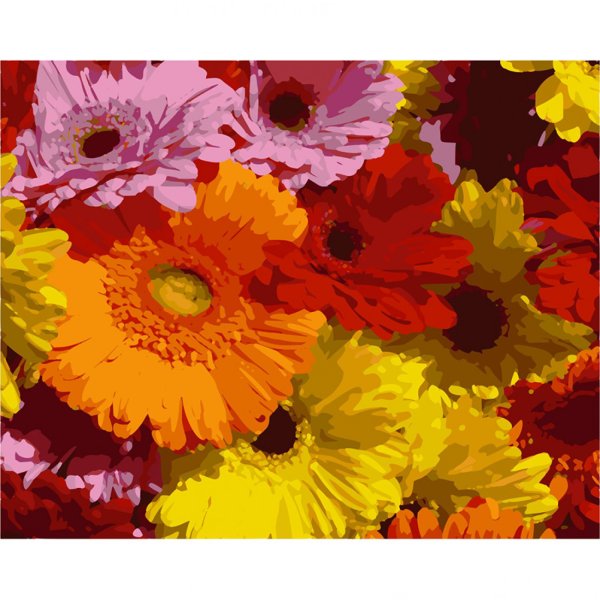 Картина по номерам герберы