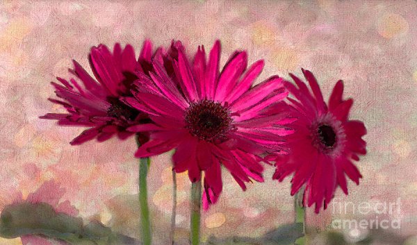 Цветы герберы в живописи