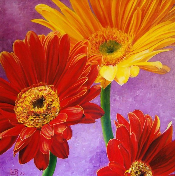 Герберы акрилом