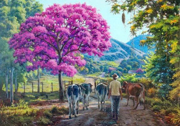 Латинская Америка картины