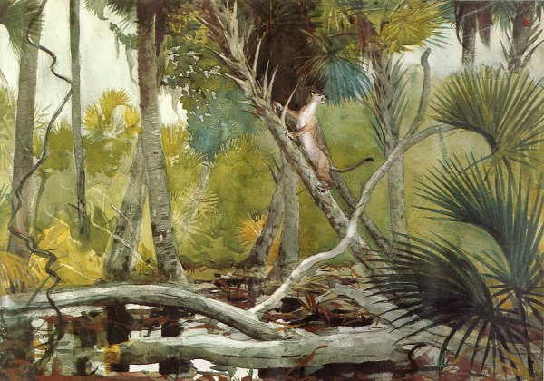 Winslow Homer - Florida Jungle
