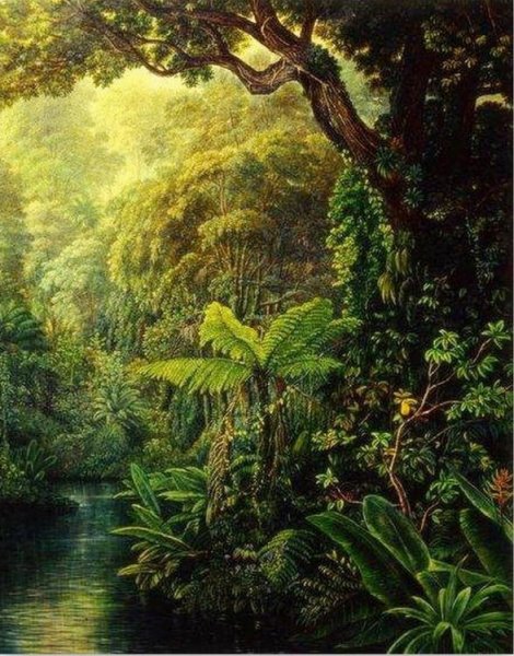 Джунгли картины художников