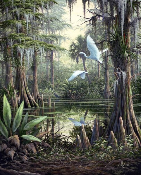 Анри Руссо сон 1910