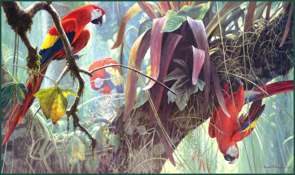 Джунгли животные акварель