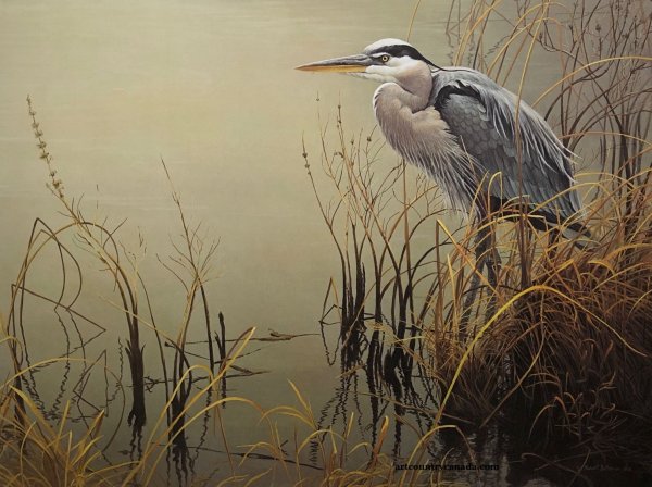 Художник: Роберт Бейтман (Robert Bateman)