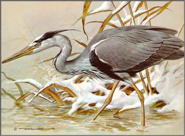 Живопись Цапли на болоте