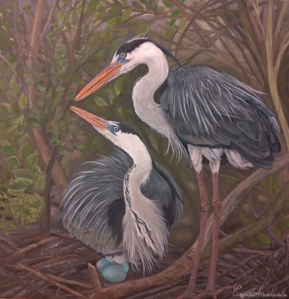 Гнездо Цапли