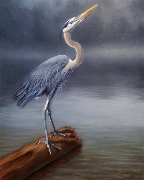 Цапля в камышах