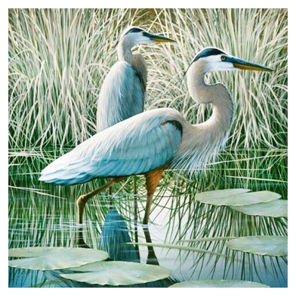 Цапля картина