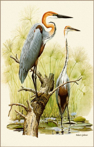 Бет Хозелтон художник