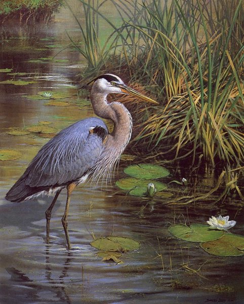 Павлины. Художница Jessie Arms Botke