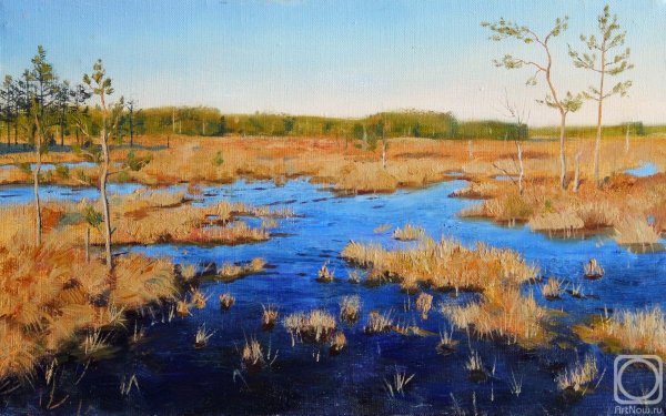 Пейзаж с болотом